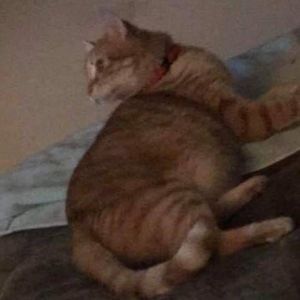 Meet your Posher, Kariann